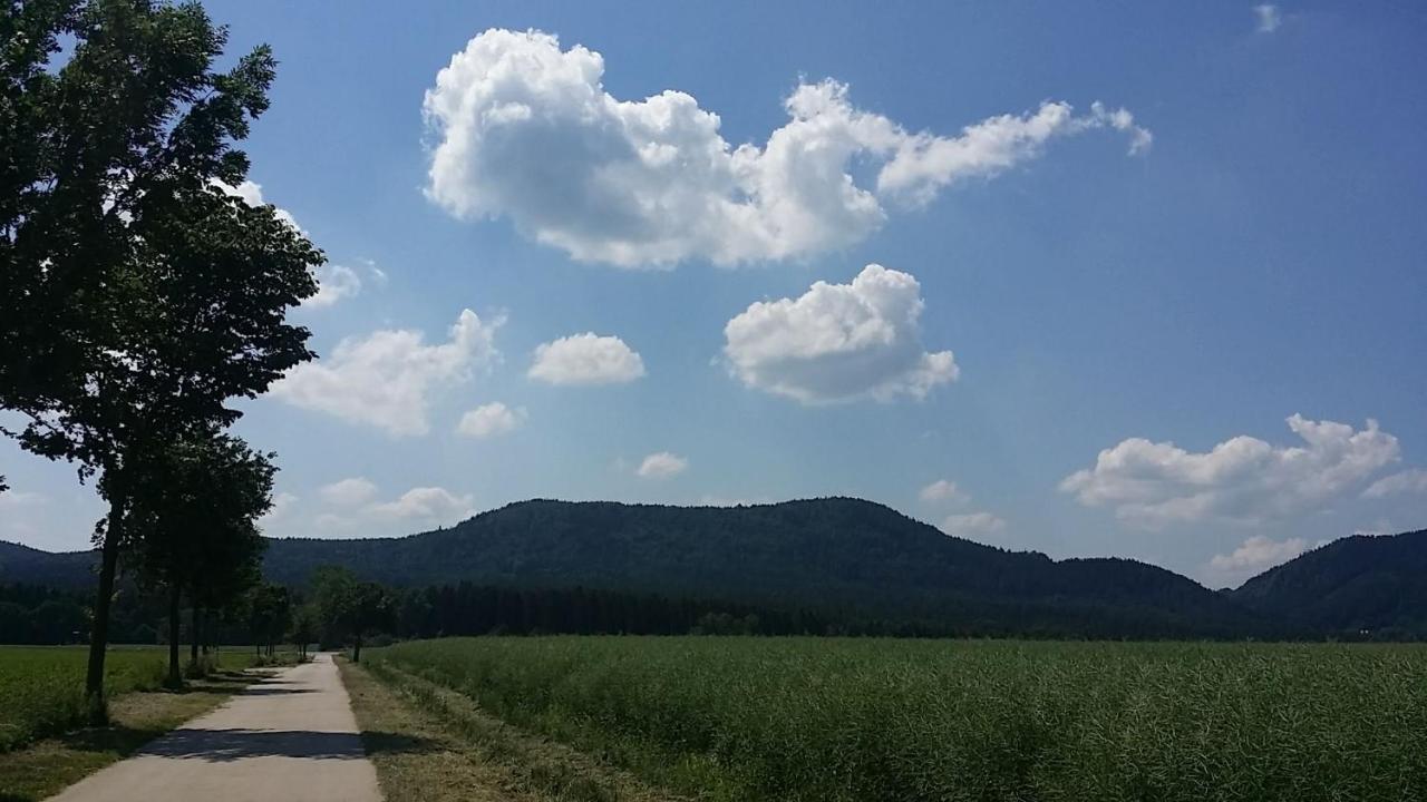 Urlaubsdomizil Am Toepfer - Ferienwohnungen In Ольберсдорф Экстерьер фото